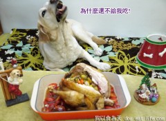 大廚嘔心瀝血之作”歡樂聖誕烤雞大餐”