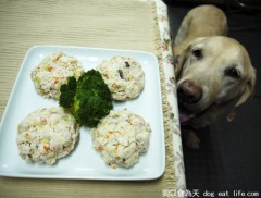 超簡單  營養蔬菜肉餅