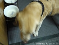 好好吃 豬肉豆漿鍋飯