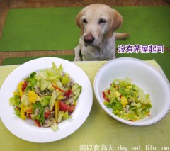 狗狗補鈣小點心『超簡單自製茅屋起司』