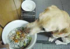 黑芝麻．豆漿蔬菜煮