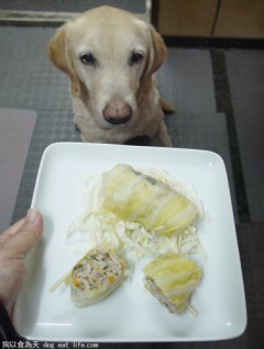 豬肉豆渣高麗菜捲