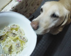 豬肉豆渣高麗菜捲