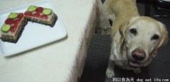 進化版  三色蔬菜雞肉鮮食凍