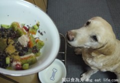 進化版  三色蔬菜雞肉鮮食凍