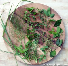 【活動】香草戶外體驗廚房 in 大寶香草園