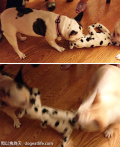 “翁茶茶”慶生～親子餐派對