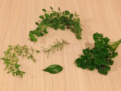 “吃吃喝喝種香草”體驗親近土地與大自然的生活