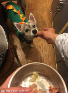 大寶聖誕烤雞餐與聖誕南瓜堅果派蛋糕～新推出
