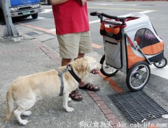 大廚回台煮好料