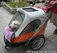 大廚回台煮好料