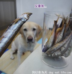 狗狗補充鈣質小點心『烤柳葉魚』