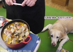 老狗的”快樂飲食”
