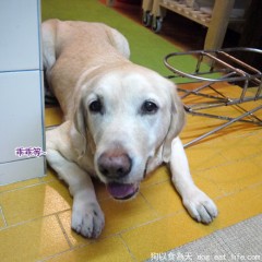 從早吃到晚~大寶的兒童節吃很飽!