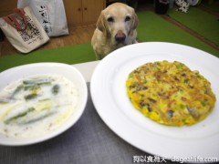 好奇大寶~監看香草採收 好奇大寶~監看香草採收