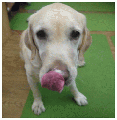 【最新活動】增進一甲子的鮮食功力