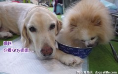【活動】香草戶外體驗廚房 in 大寶香草園