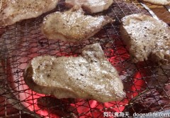 大寶的夢幻”狗跳橋“花見便當