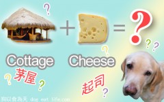茅屋?起司?   傻傻搞不清楚~