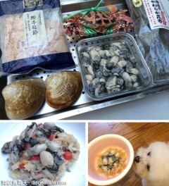 期間限定～大寶的夢幻”狗跳橋“花見便當．預購（已結束）