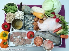 期間限定～大寶的夢幻”狗跳橋“花見便當．預購（已結束）