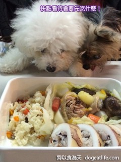 期間限定～大寶的夢幻”狗跳橋“花見便當．預購（已結束）