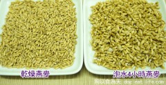 燕麥