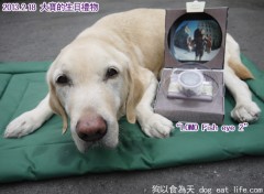 關大寶Ruby的14歲親子餐慶生PARTY~準備篇(上)
