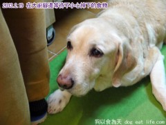 關大寶Ruby的14歲親子餐慶生PARTY~準備篇(上) 關大寶Ruby的14歲親子餐慶生PARTY~準備篇(上)