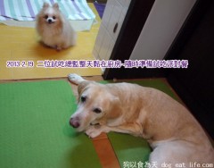 關大寶Ruby的14歲親子餐慶生PARTY~準備篇(上)