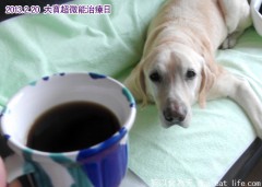 關大寶Ruby的14歲親子餐慶生PARTY~準備篇(上)