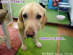 關大寶Ruby的14歲親子餐慶生PARTY~準備篇(上)