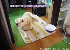 關大寶Ruby的14歲親子餐慶生PARTY~準備篇(中)