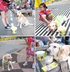 大寶.愛.分享 大寶.愛.分享
