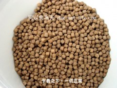 為什麼開始做鮮食?