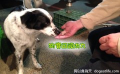 親子系列 2015狗寶貝年菜